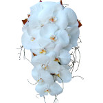 white-phaleanopsis-orchid-trailing-wedding-bouquet-gold-coast-florists-botanique-flowers